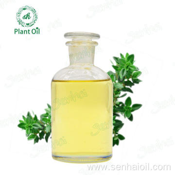 Excellent Aroma Fresh Thyme Essential Oil